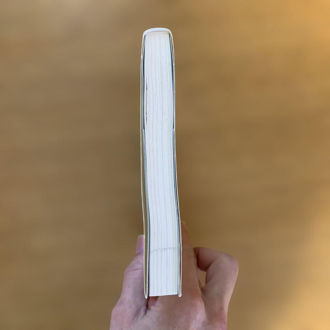 1日5分！飼い主ができるペットヒーリング教科書 大友けんたろう