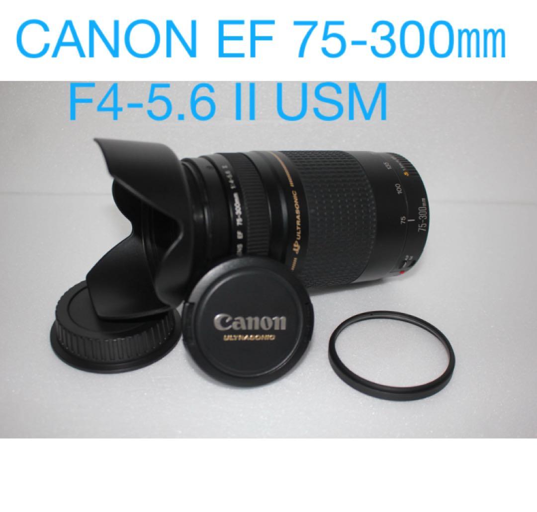 キヤノン/望遠レンズ/CANON EF 75-300㎜F4-5.6 II USM