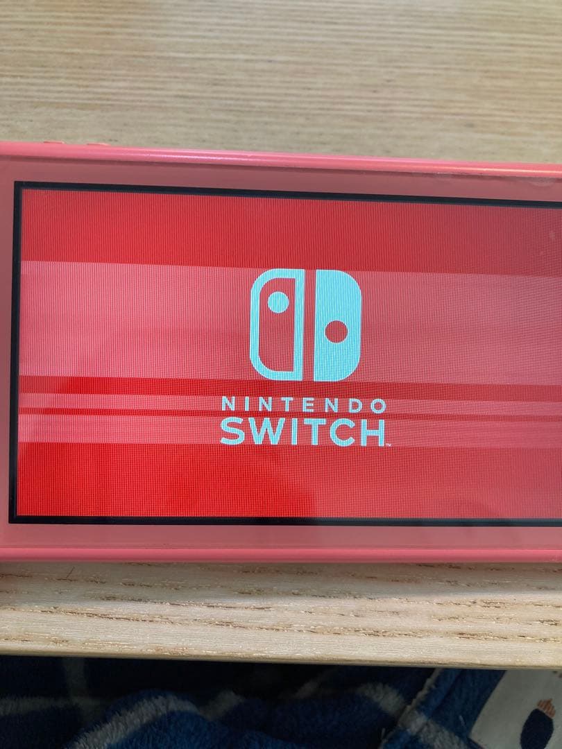 Nintendo Switch Lite 充電器　ジャンク品