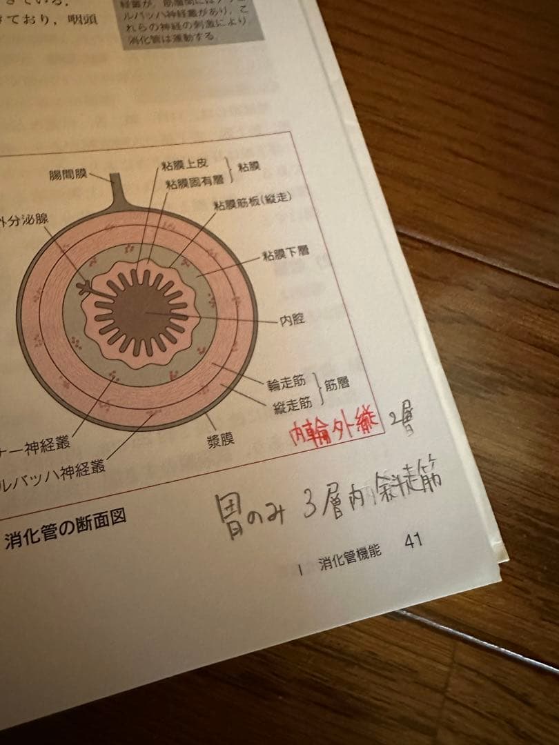 臨床検査学講座（臨床検査技師）