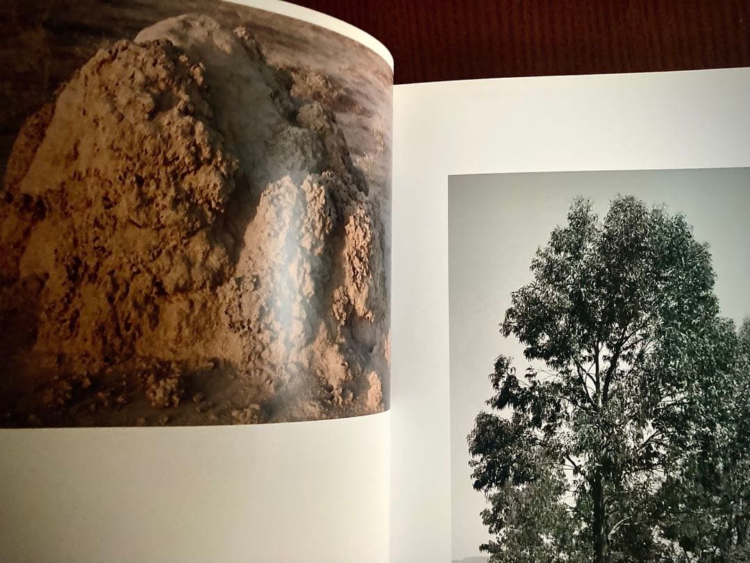 【ハマさん専用】絶版『Neue Welt』Wolfgang Tillmans