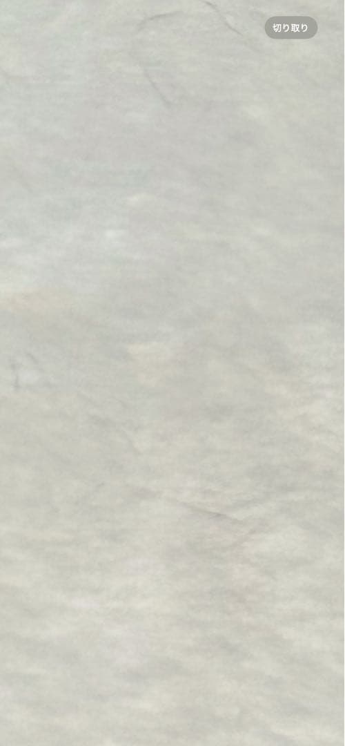 ♡coco✨ハンドメイドのフェレット☆アートドール