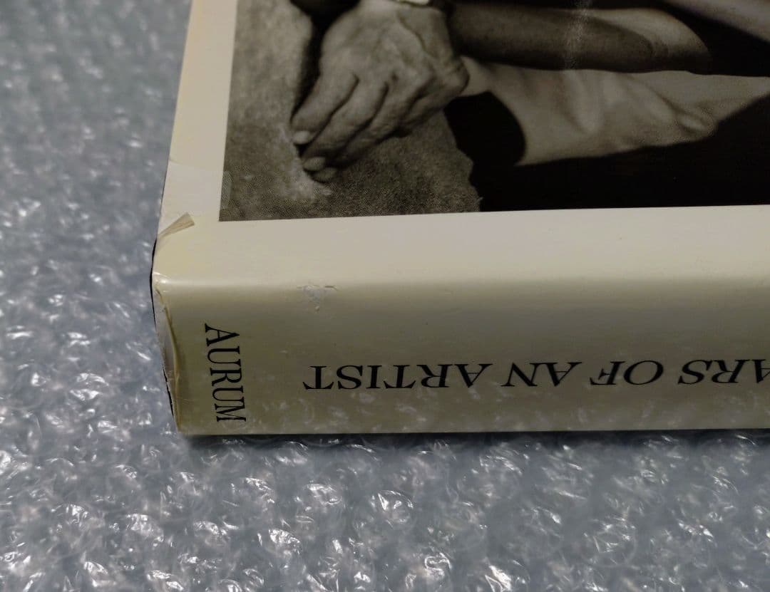 DAVID HAMILTON デイヴィッド・ハミルトン 写真集 TWENTY 〜