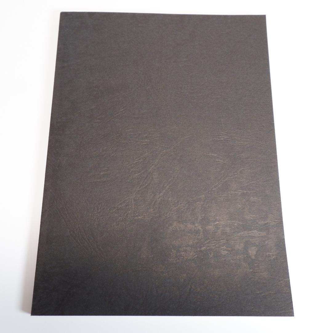 台本　ゴジラvsビオランテ　決定稿