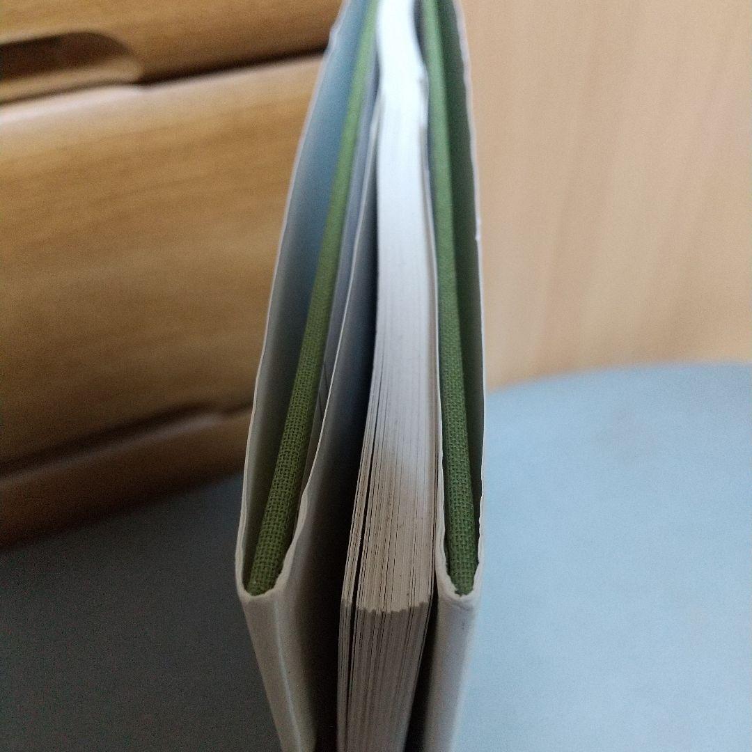 Walking the High Line ハードカバー jf1