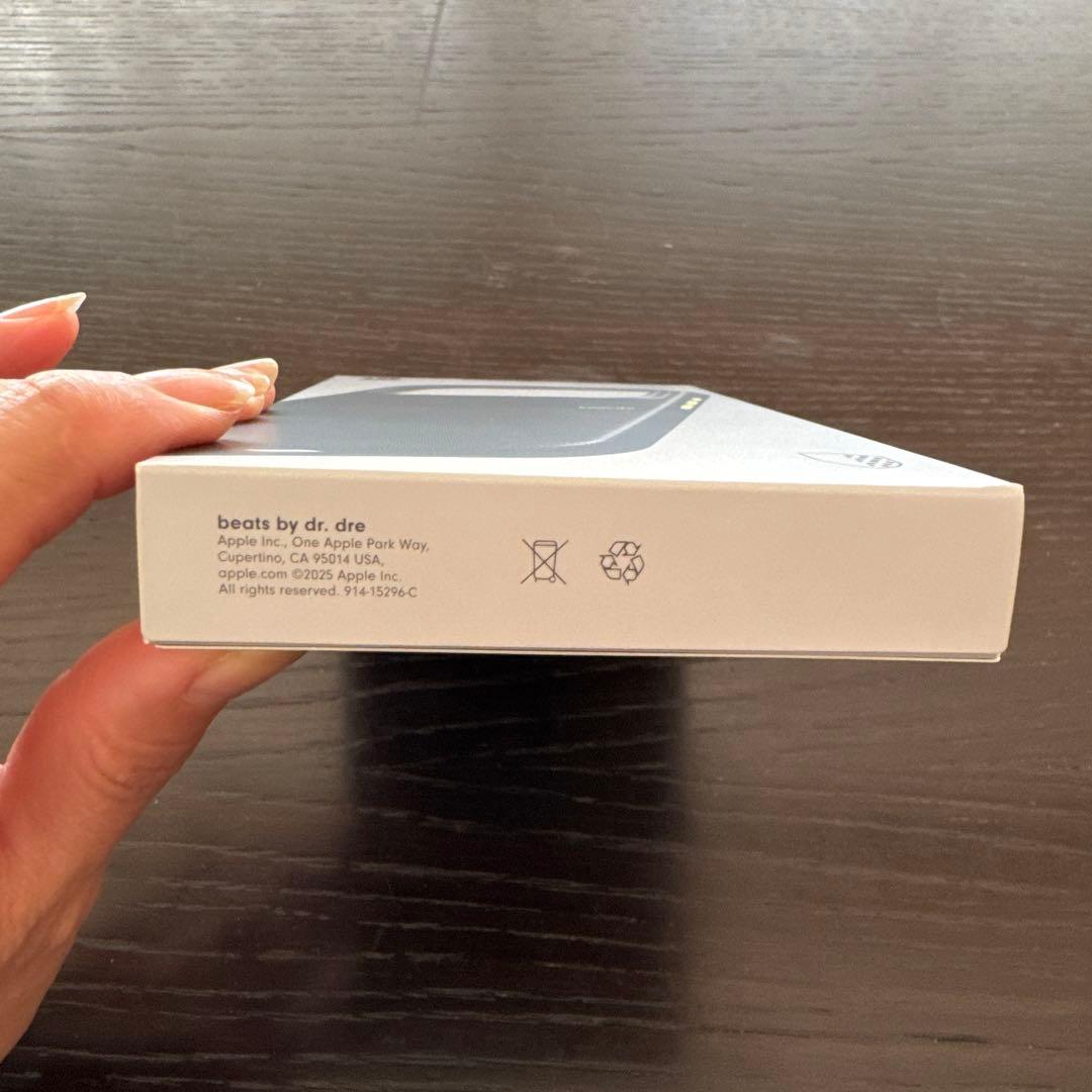 apple純正 iPhone 17 Pro Max Ragged Case