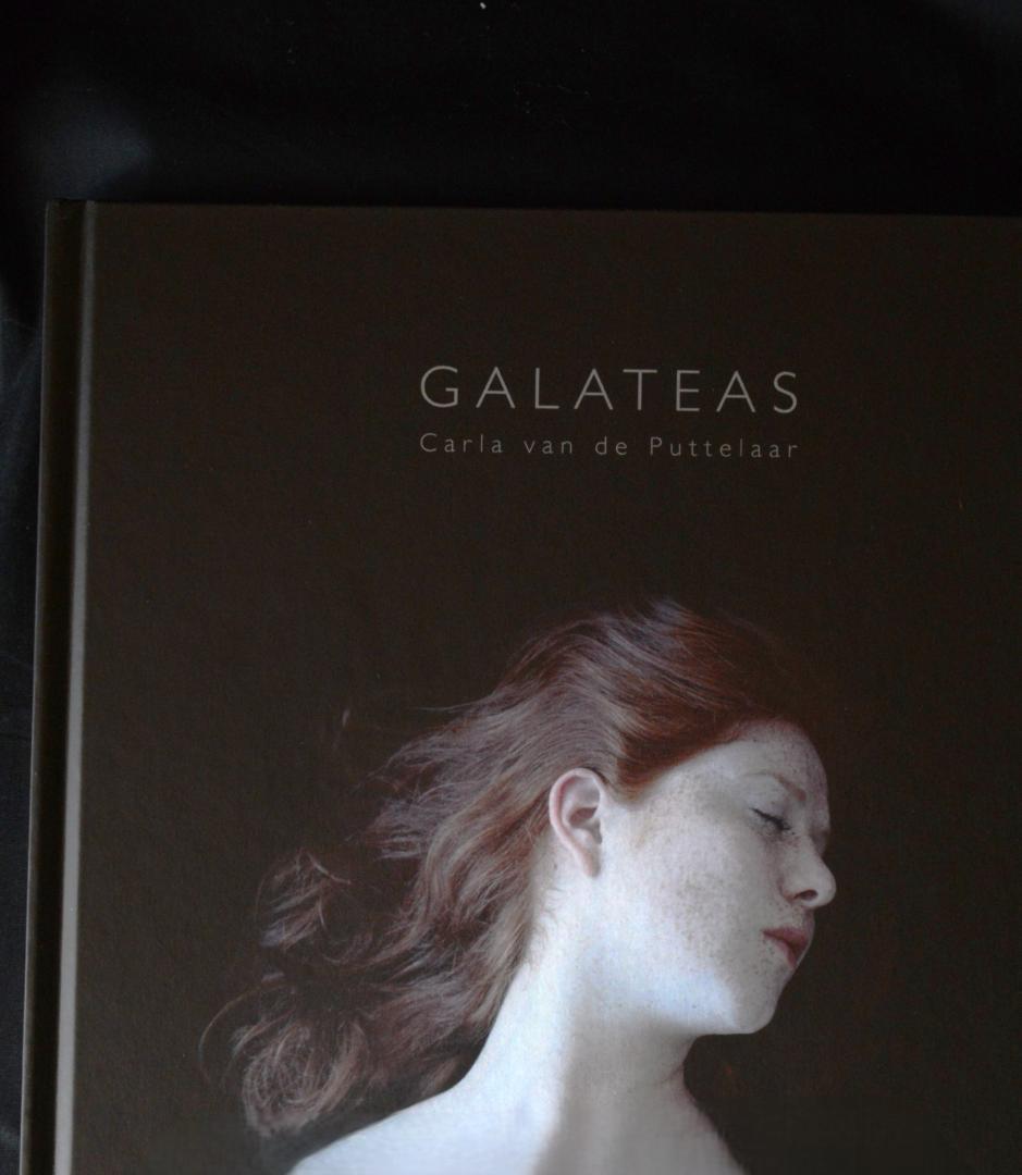 Galateas /Carla Van de Puttelaar★値下げしました