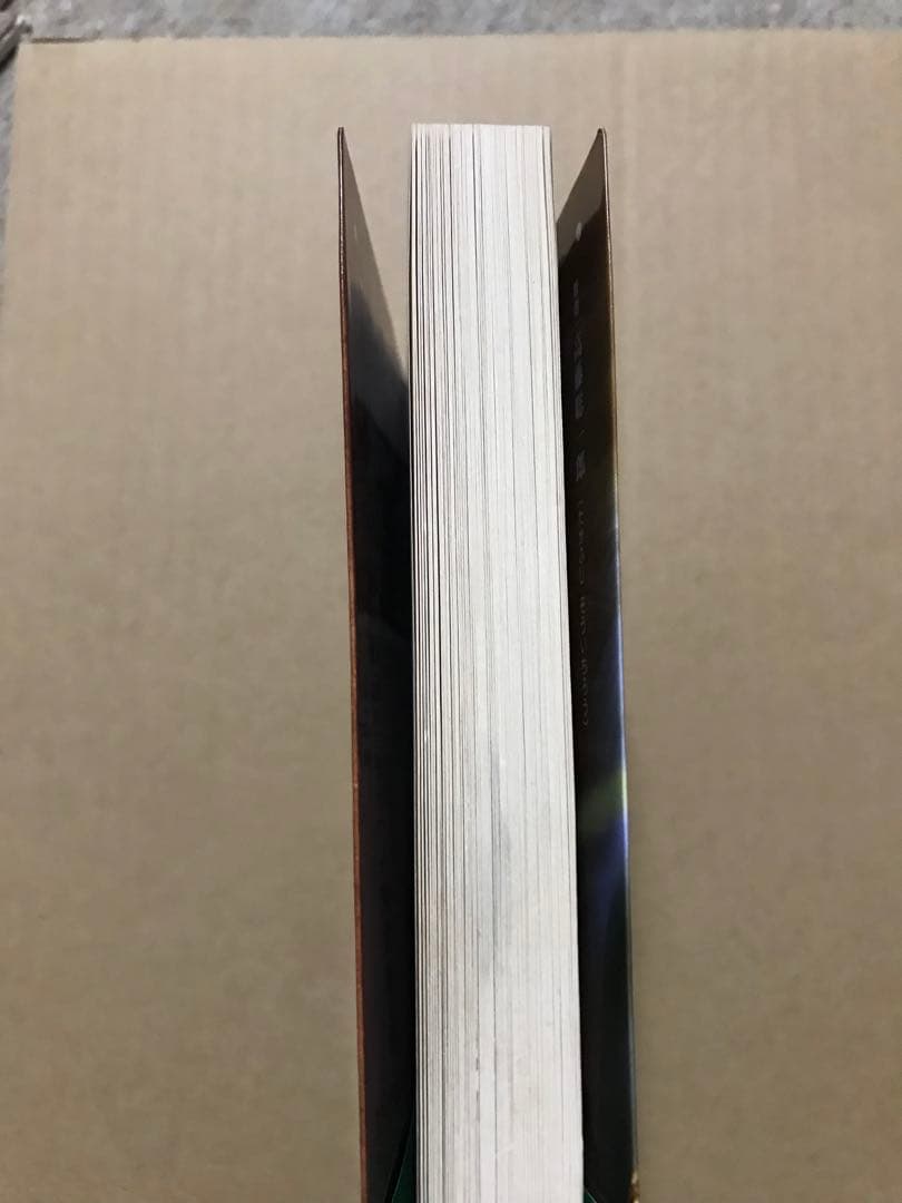 仙道未来予知 察気の法 高藤聡一郎