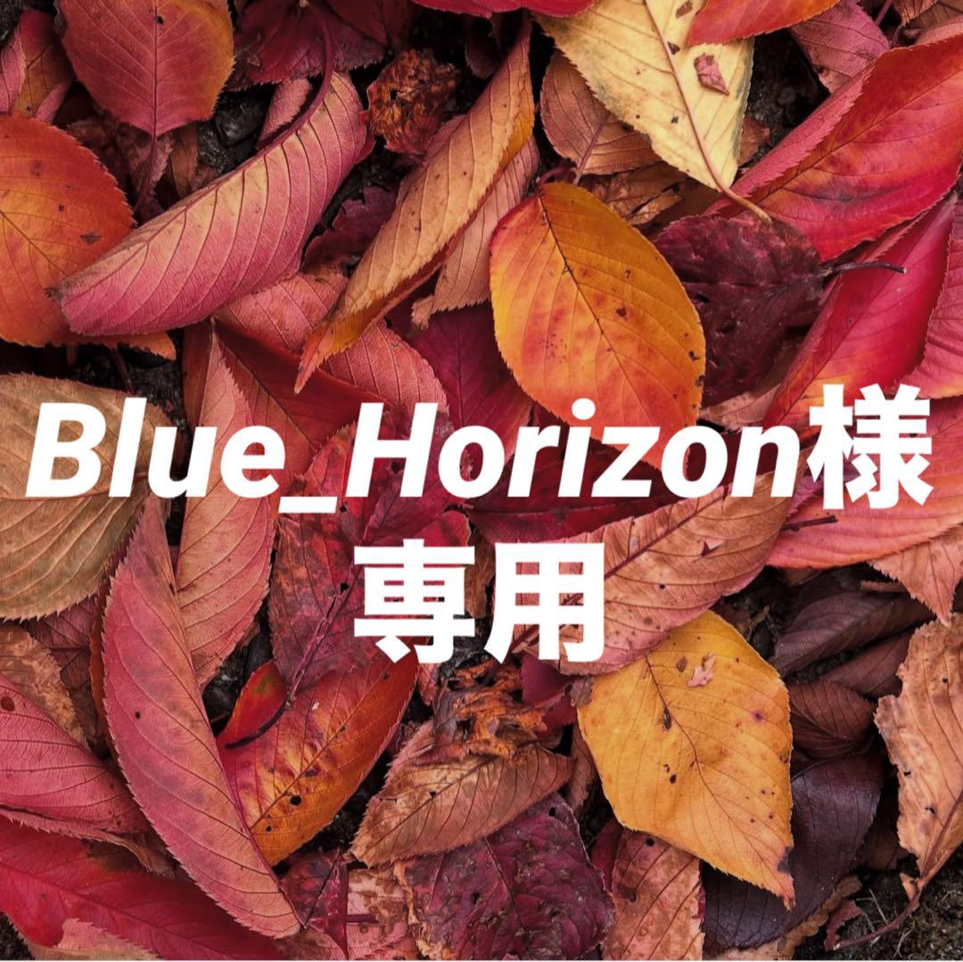 Blue_Horizon おまとめ同梱
