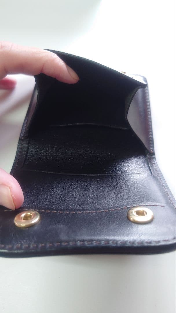 WILDSWANS 銀座店11周年・型押しシェルコードバン ブラック パーム