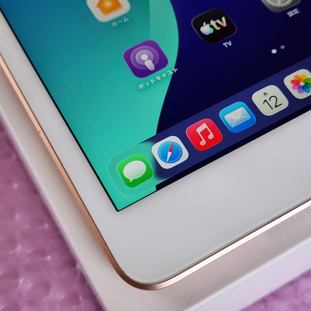 iPad mini5　バッテリー良好　フルセット　Wi-Fi+Cellular