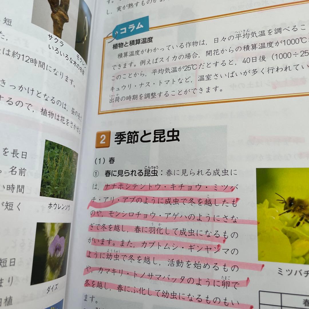 小5 予習シリーズ　上下全巻　四ツ谷大塚　早稲田アカデミー　早稲アカ　5