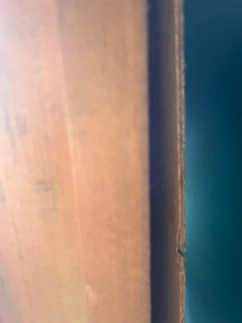 特大 196cm 仁王像 油絵 額縁 インテリア 縁起物 絵画