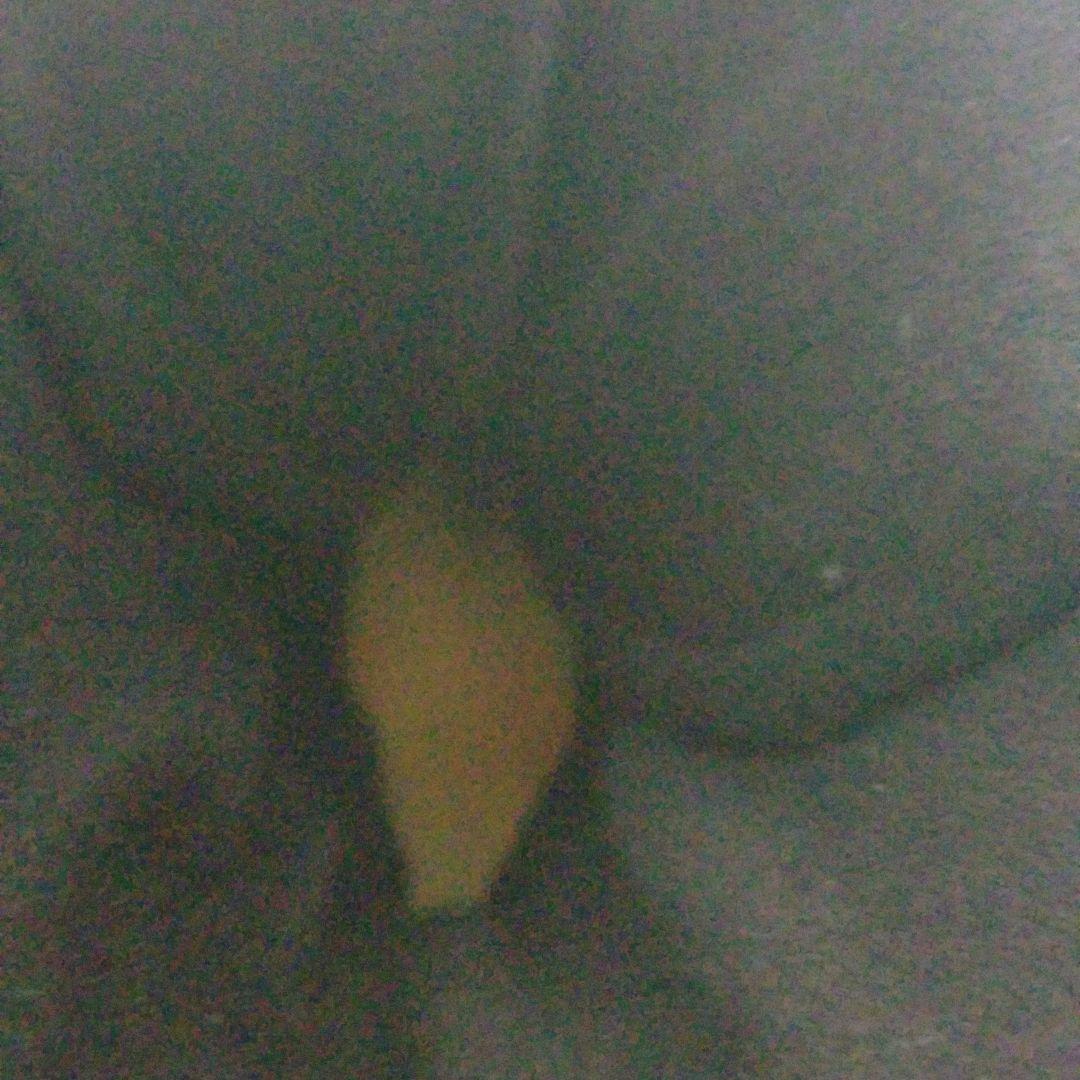 テクニカ　TFCNICA エントリーエックス　スキーブーツ　27.5cm