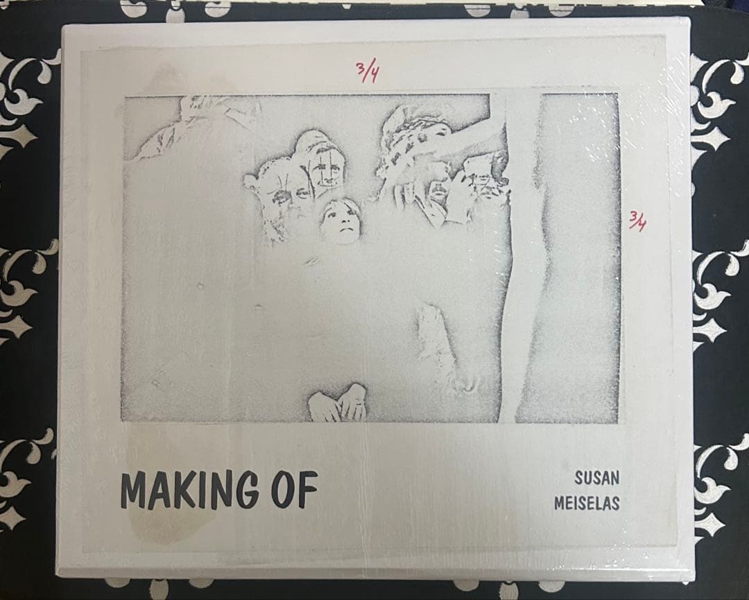 スーザン・マイゼラス, Meiselas Carnival Strippers