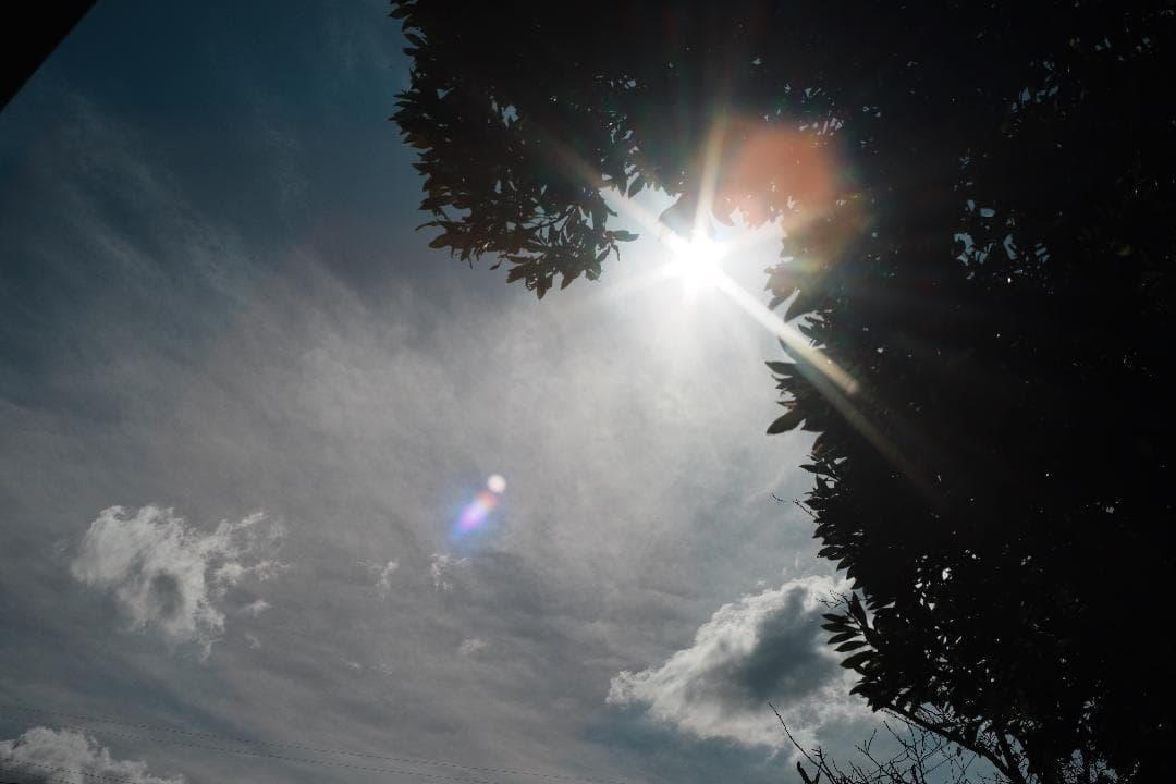 この値段でライカ級｜富岡光学製 XR RIKENON 50mm F2 362