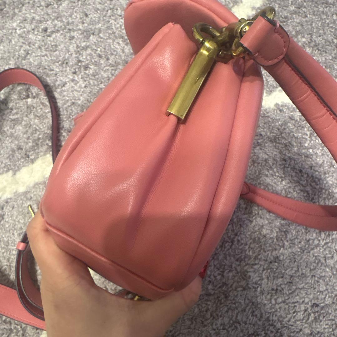 コーチ　タビーピロー