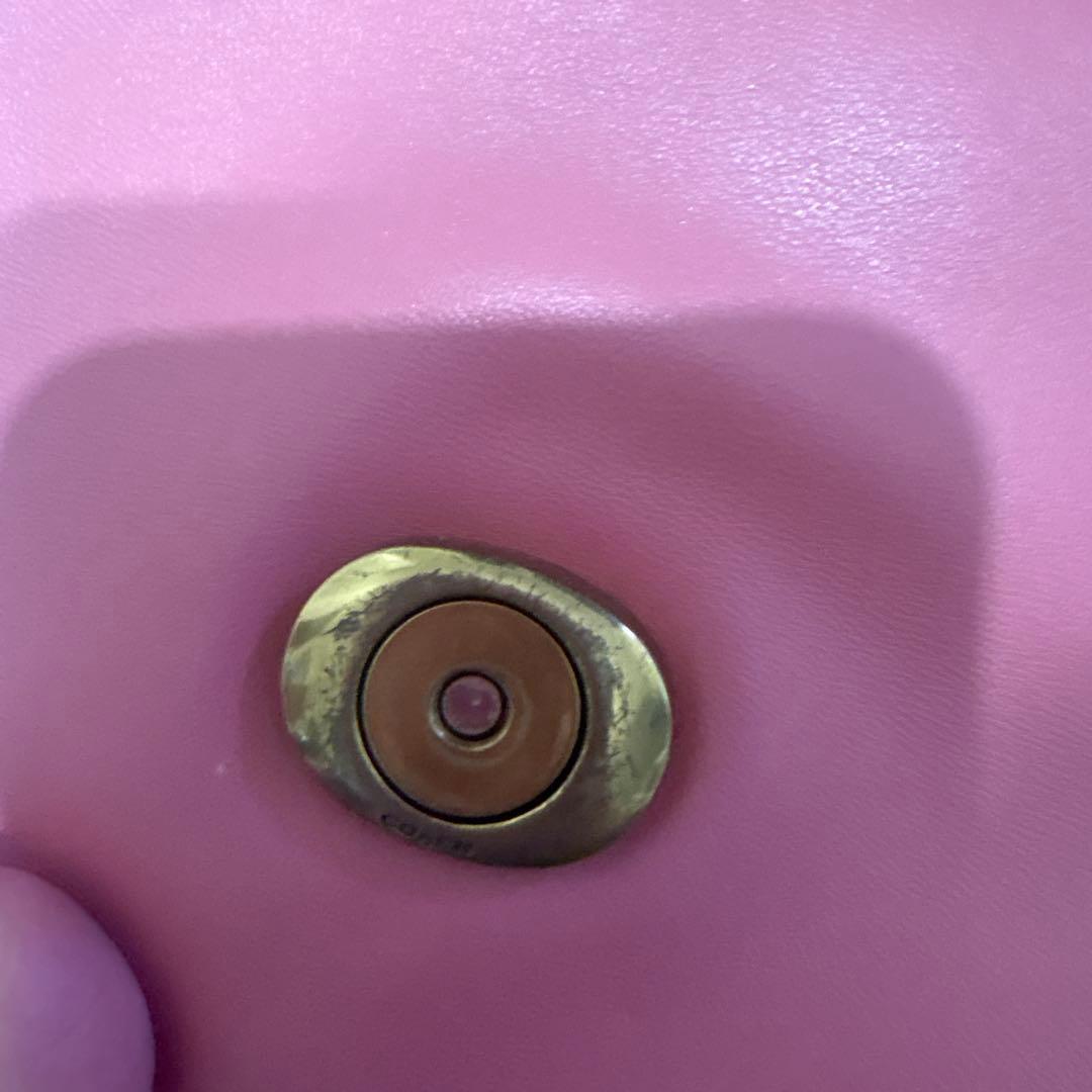 コーチ　タビーピロー