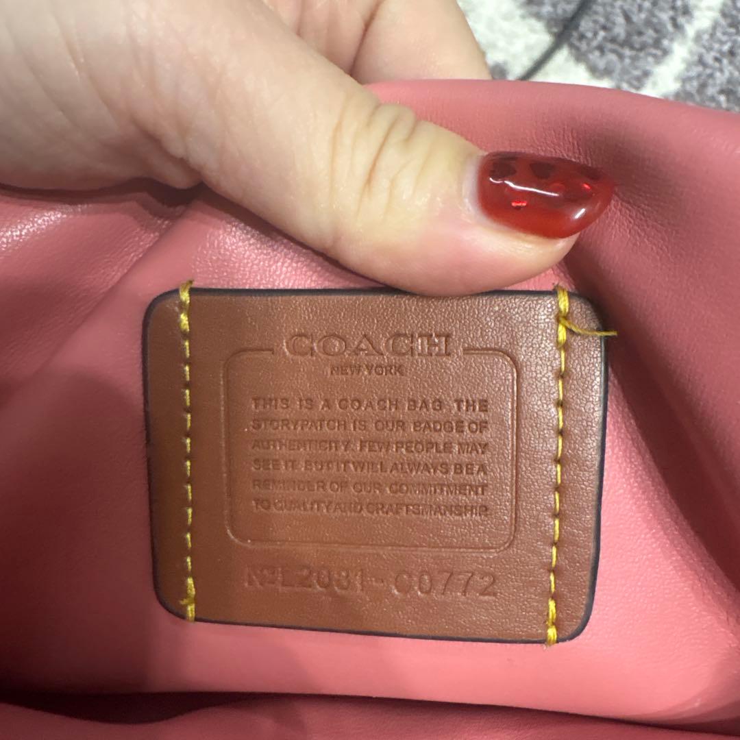 コーチ　タビーピロー