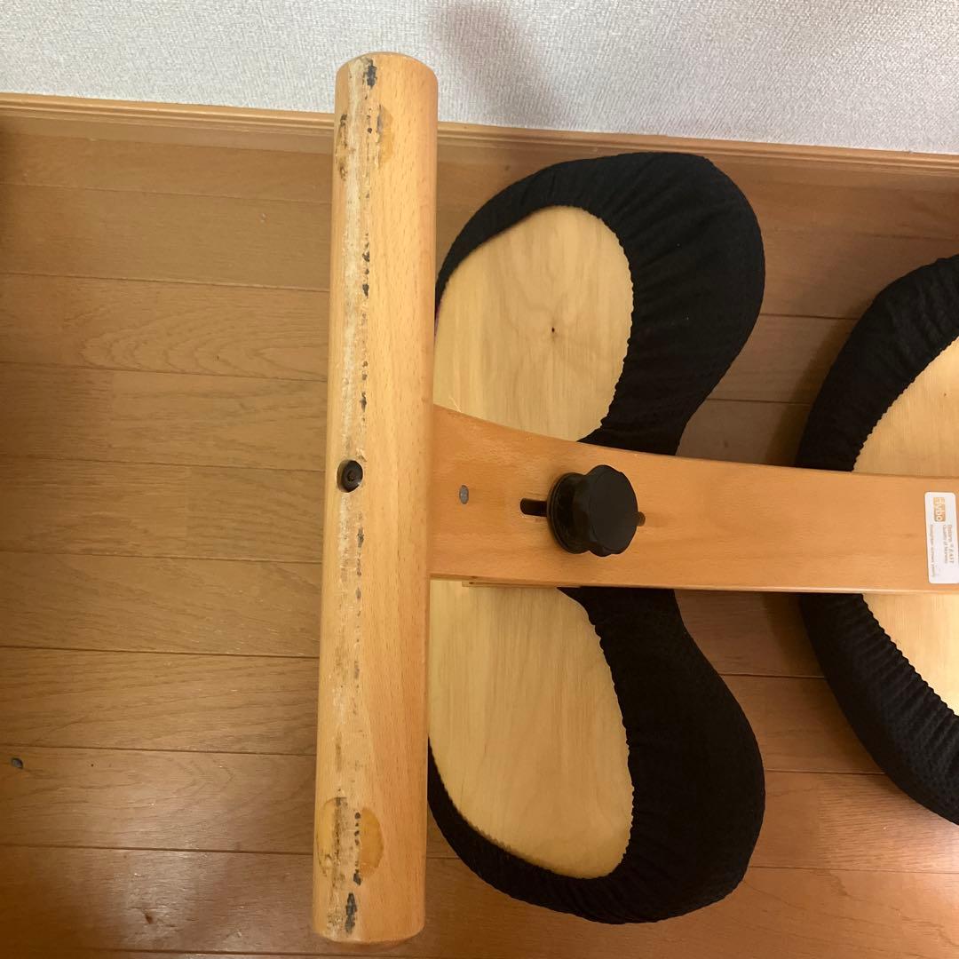 リボ社 バランスチェア balance EASY バランスイージー カバー付き