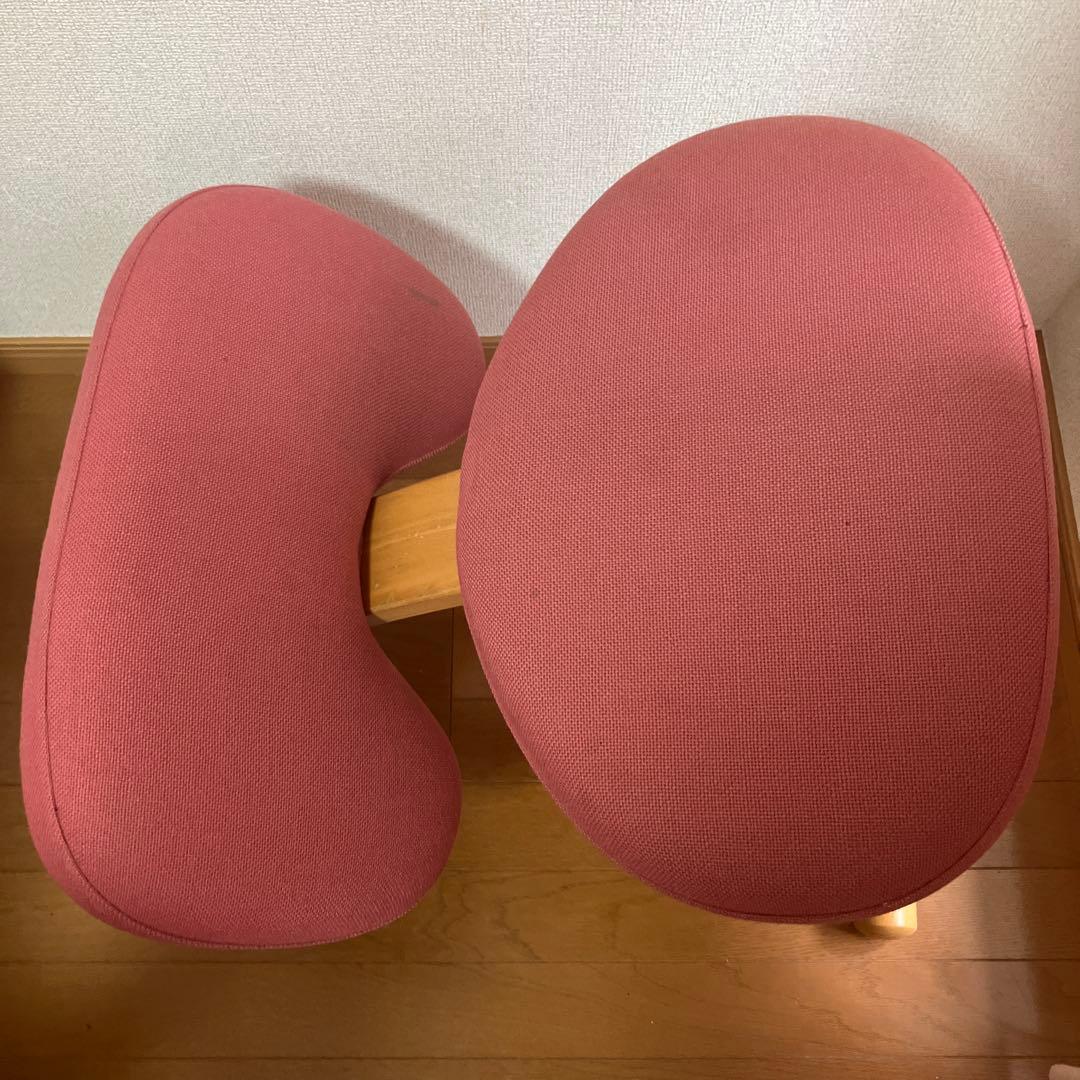 リボ社 バランスチェア balance EASY バランスイージー カバー付き