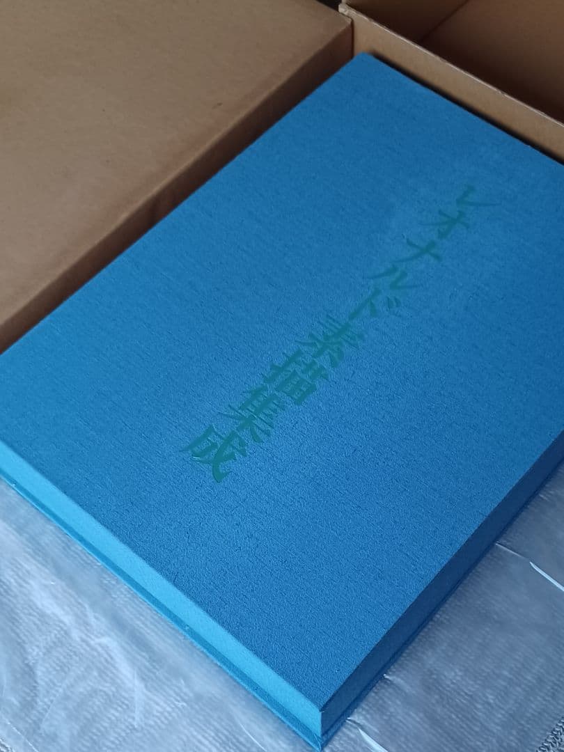 【美品・限定200部】学術ファクシミリ版『レオナルド素描集成』定価60万円