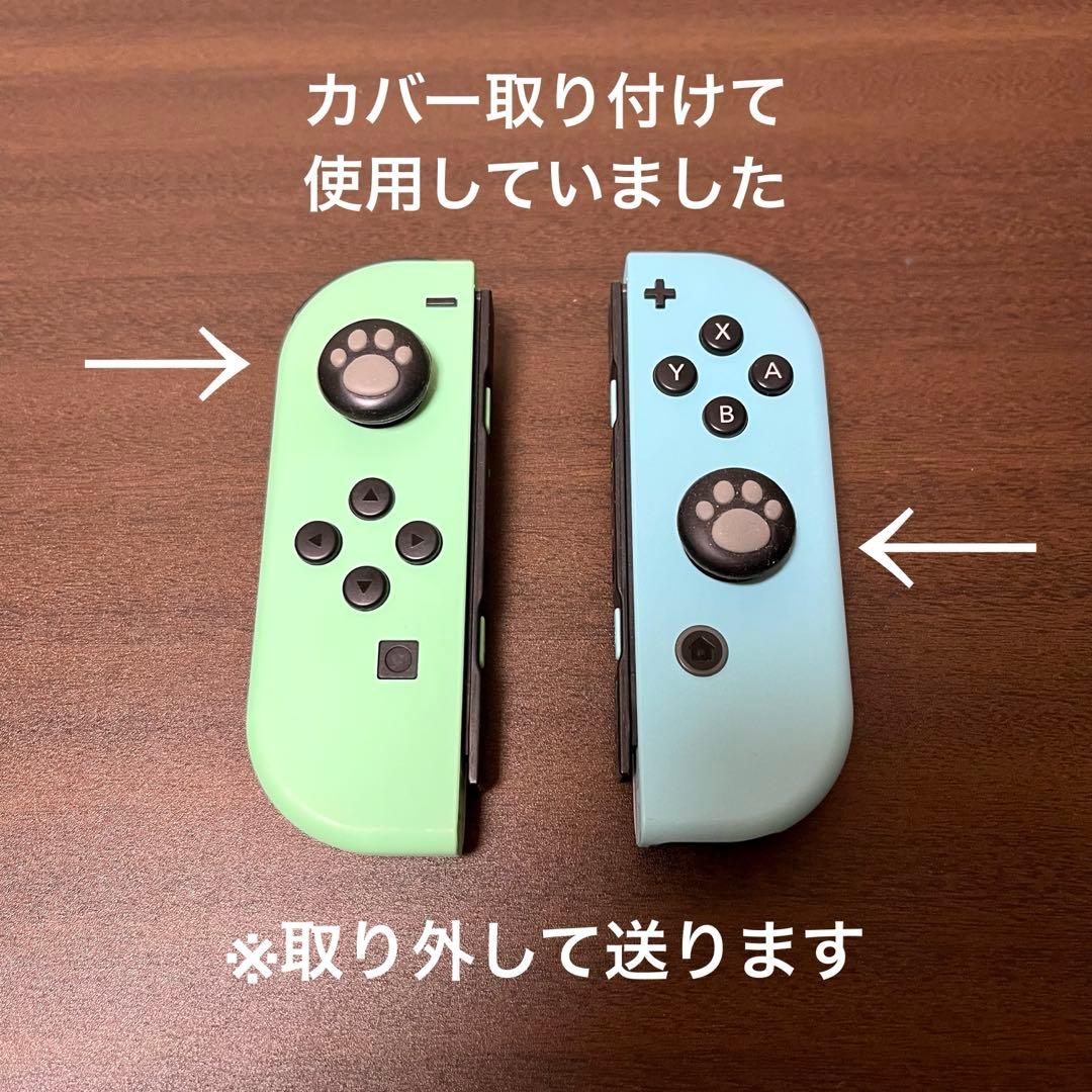 Nintendo Switch あつまれ どうぶつの森 限定モデル 本体 美品