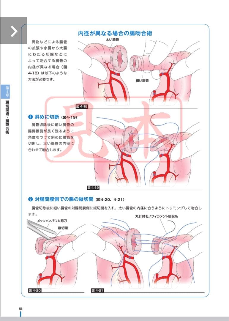 CLINIC NOTE BOOKS イラストを読む! 犬と猫の臨床外科 獣医
