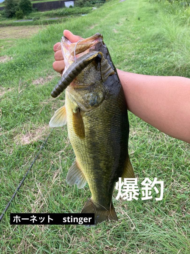 釣果実績ありエクスプライド168mh-2、ホーネットスティンガー722H ベイト