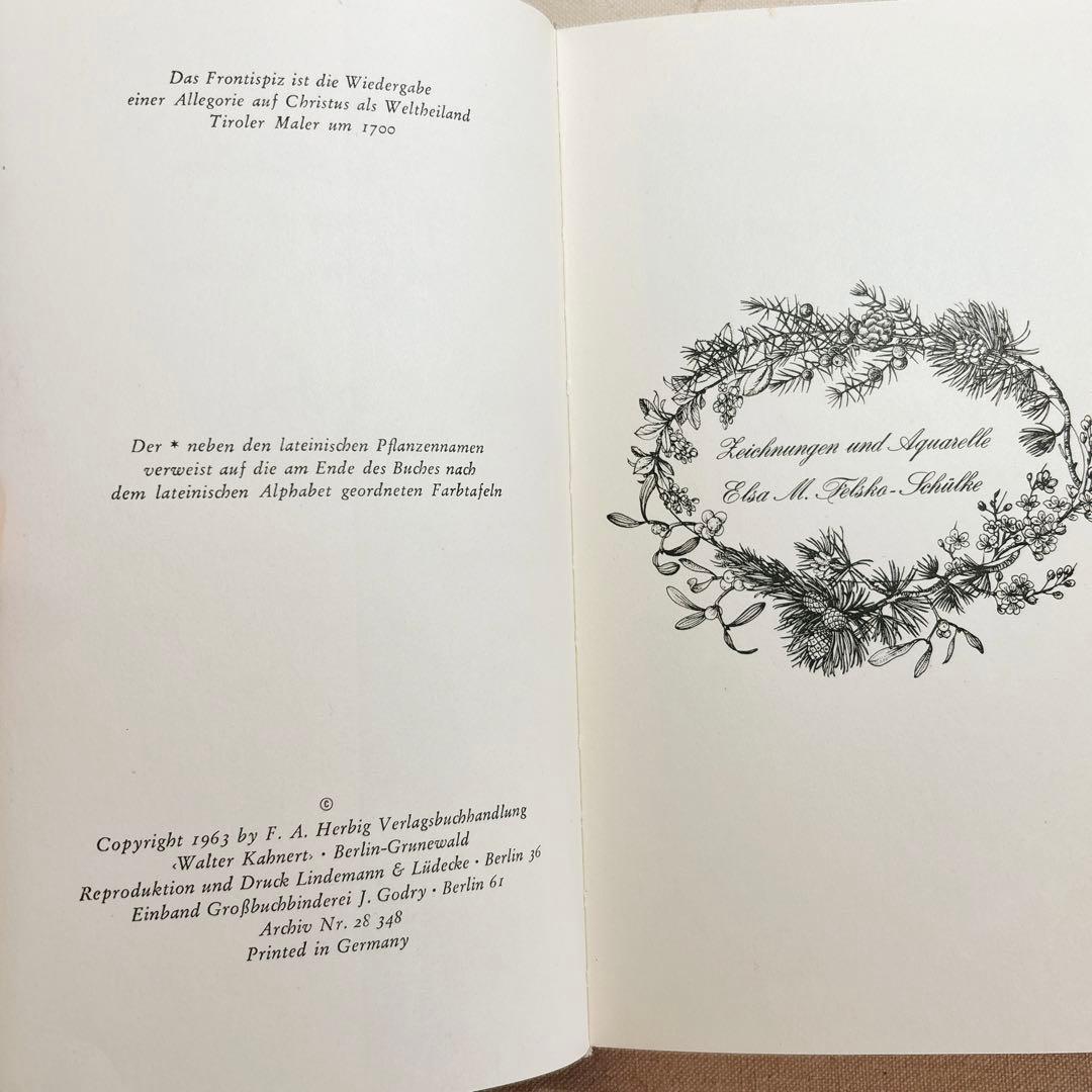 美しい植物画 ドイツ 洋書 図鑑 1963 Elsa Flesko Blumen