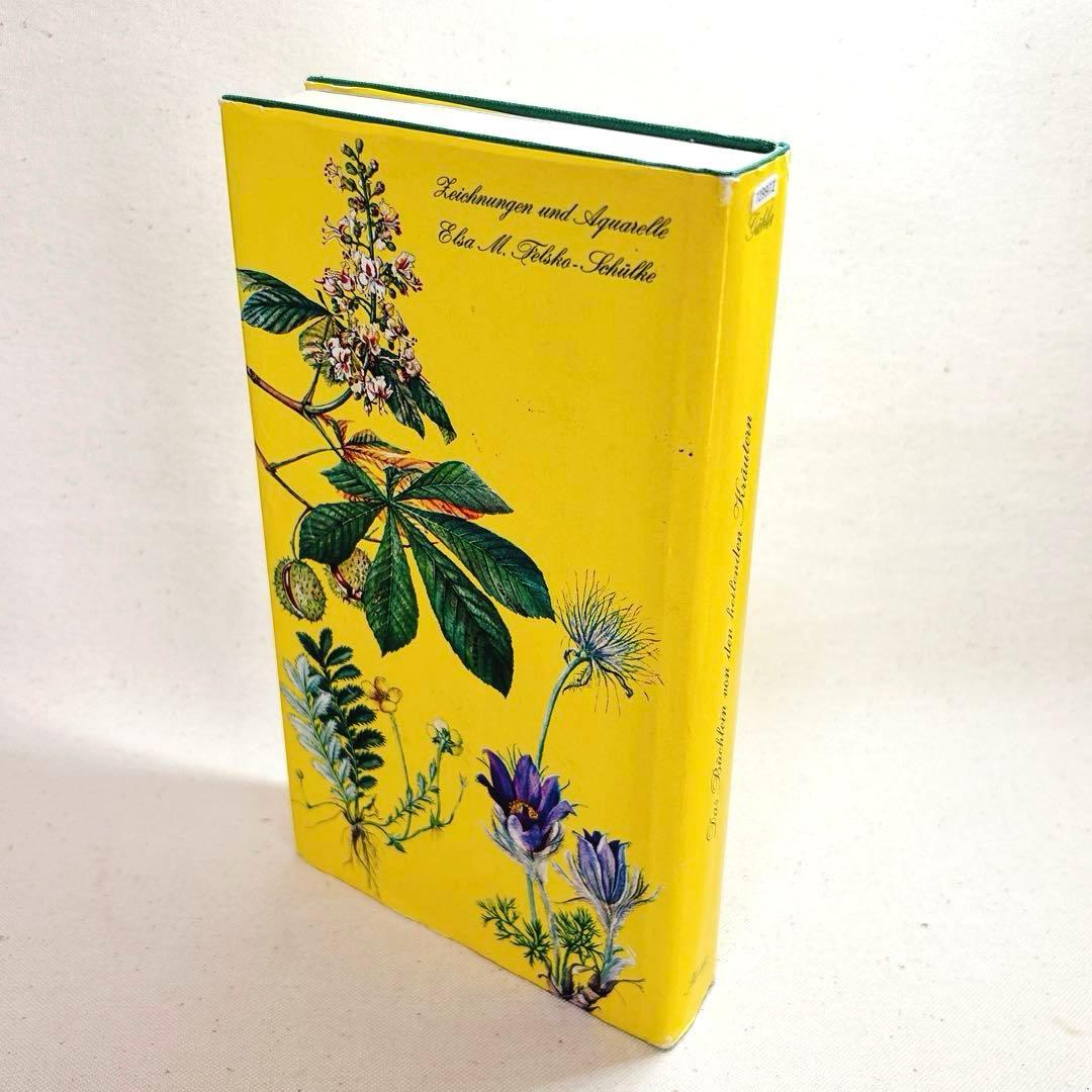 美しい植物画 ドイツ 洋書 図鑑 1963 Elsa Flesko Blumen