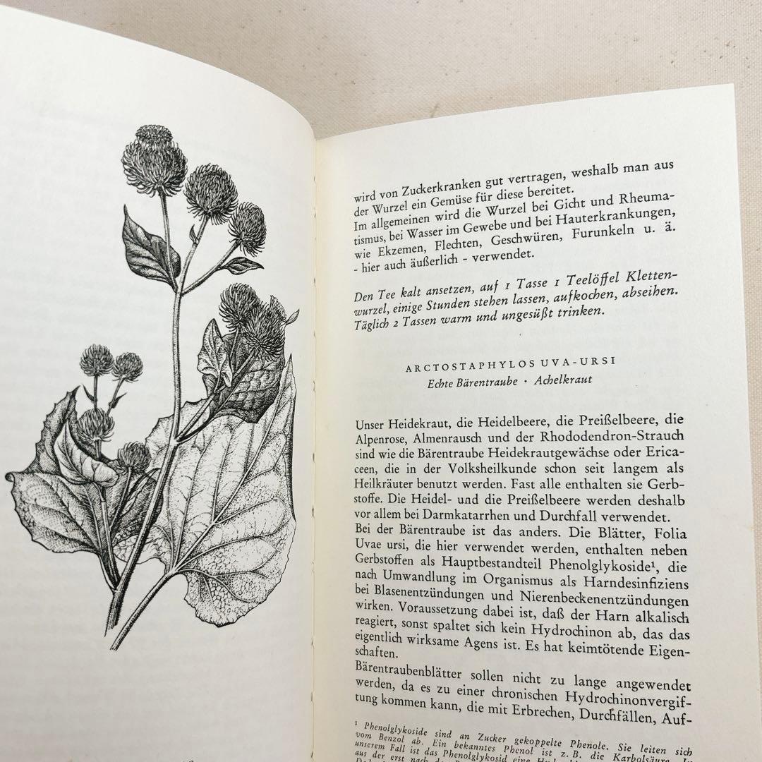美しい植物画 ドイツ 洋書 図鑑 1963 Elsa Flesko Blumen