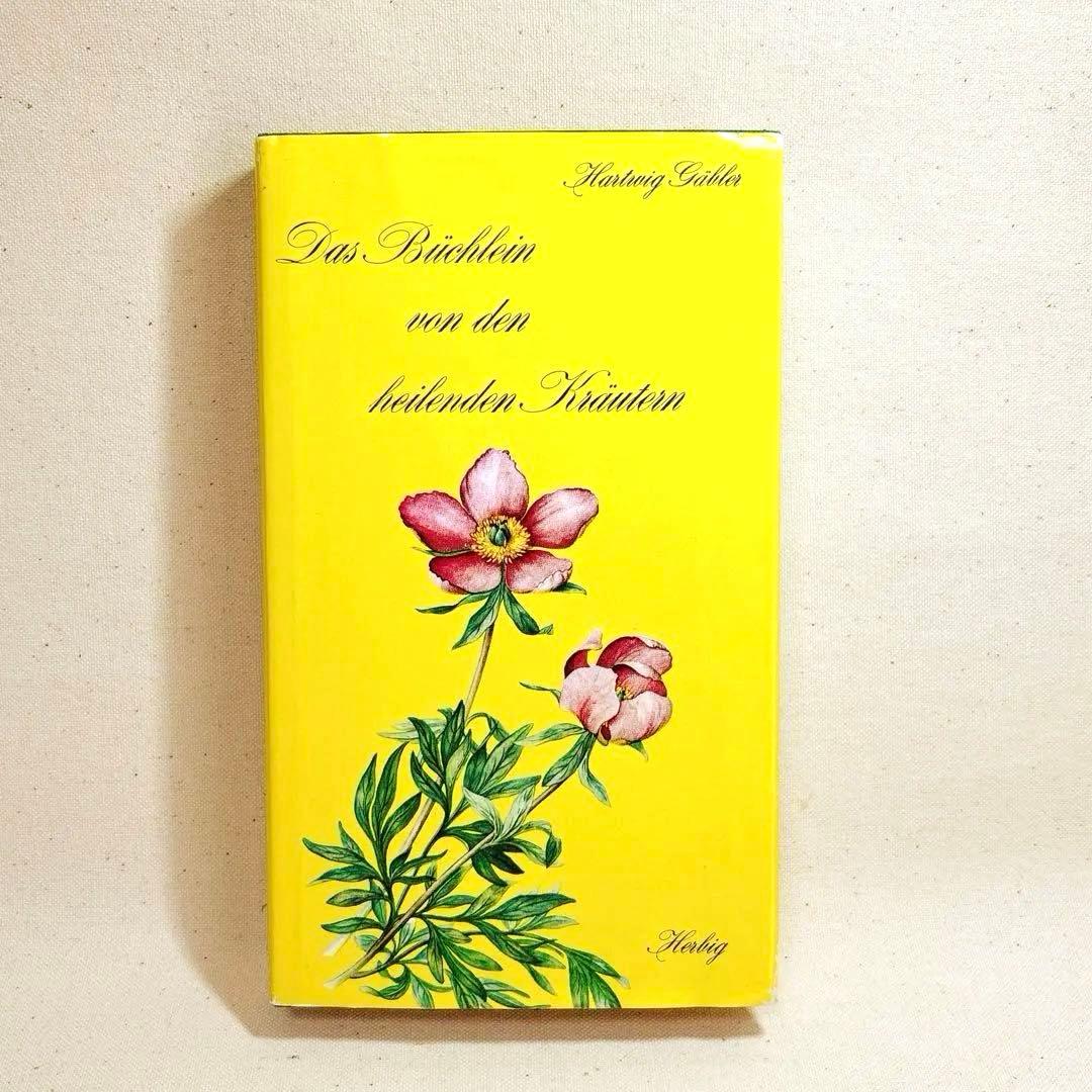 美しい植物画 ドイツ 洋書 図鑑 1963 Elsa Flesko Blumen