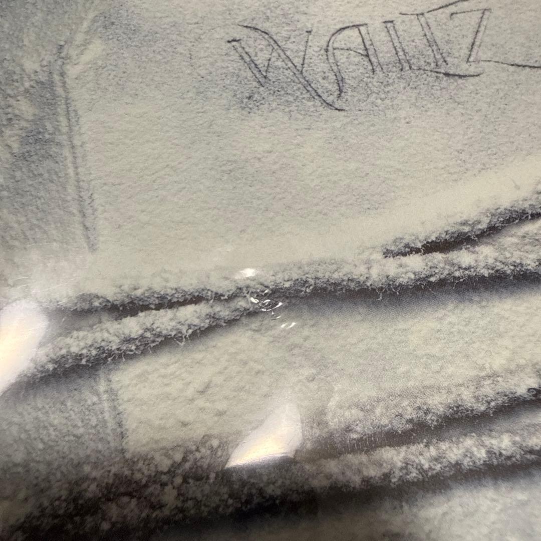 龍宮城 WALTZ 白盤 完全生産限定盤