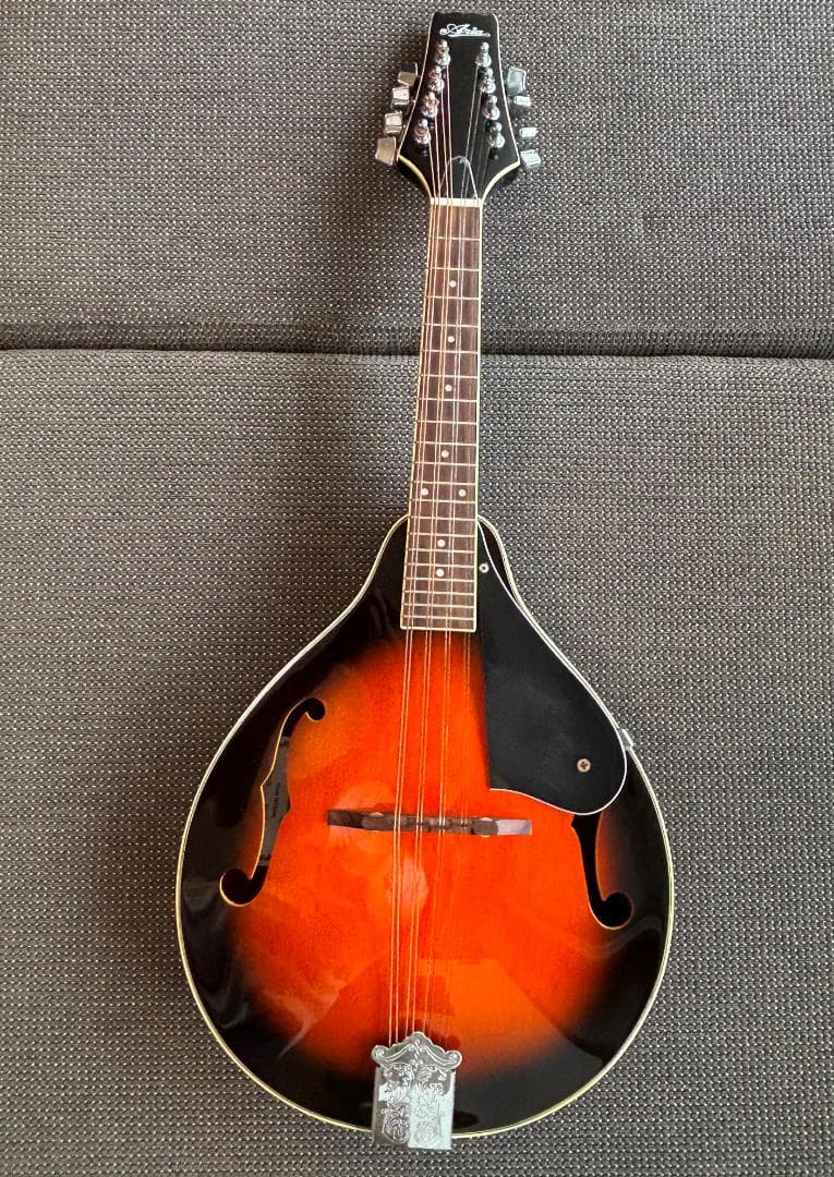 【美品と思います】Aria AM-20 マンドリン　ハードケース付き　送料無料