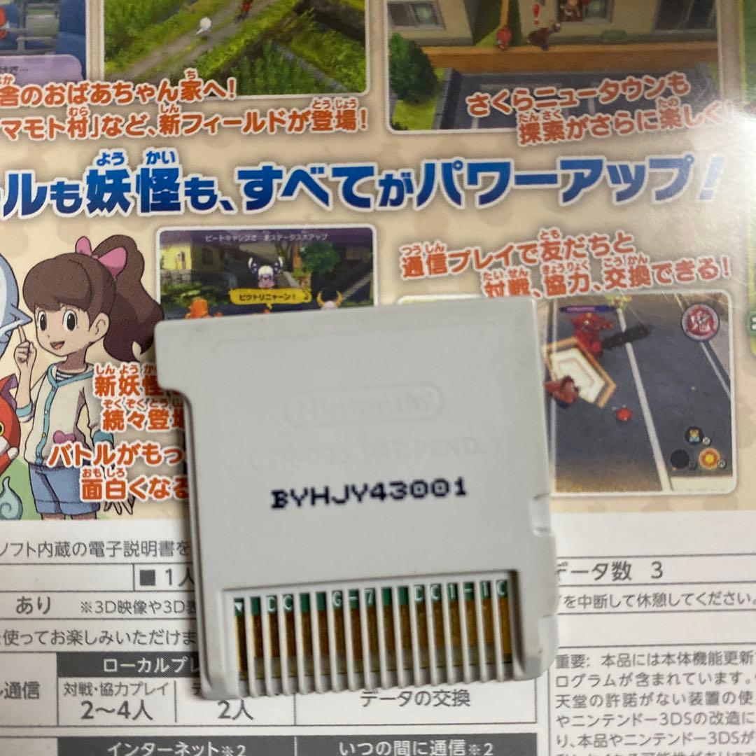 ドラゴンワタル出品