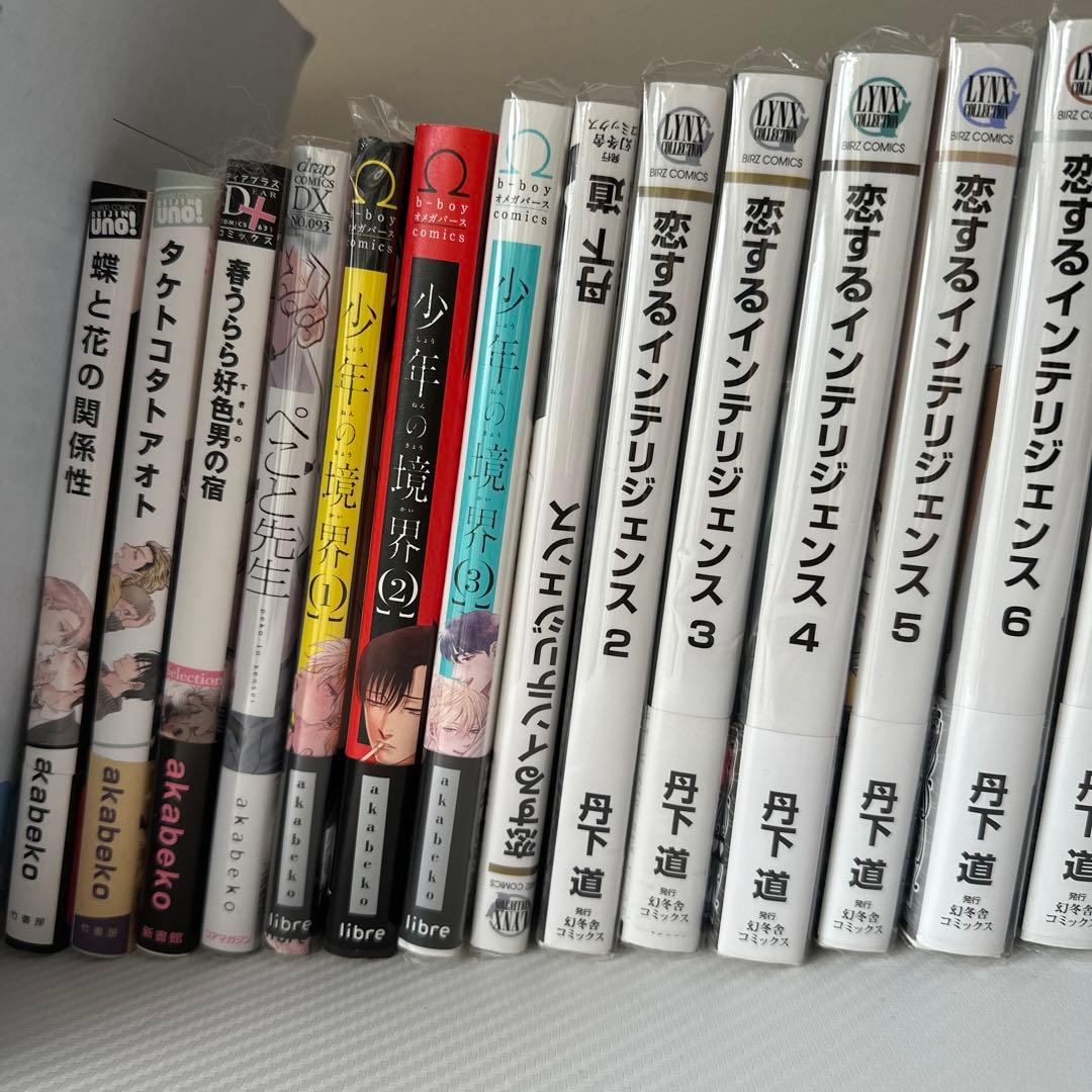 BL   人気漫画セット　37冊