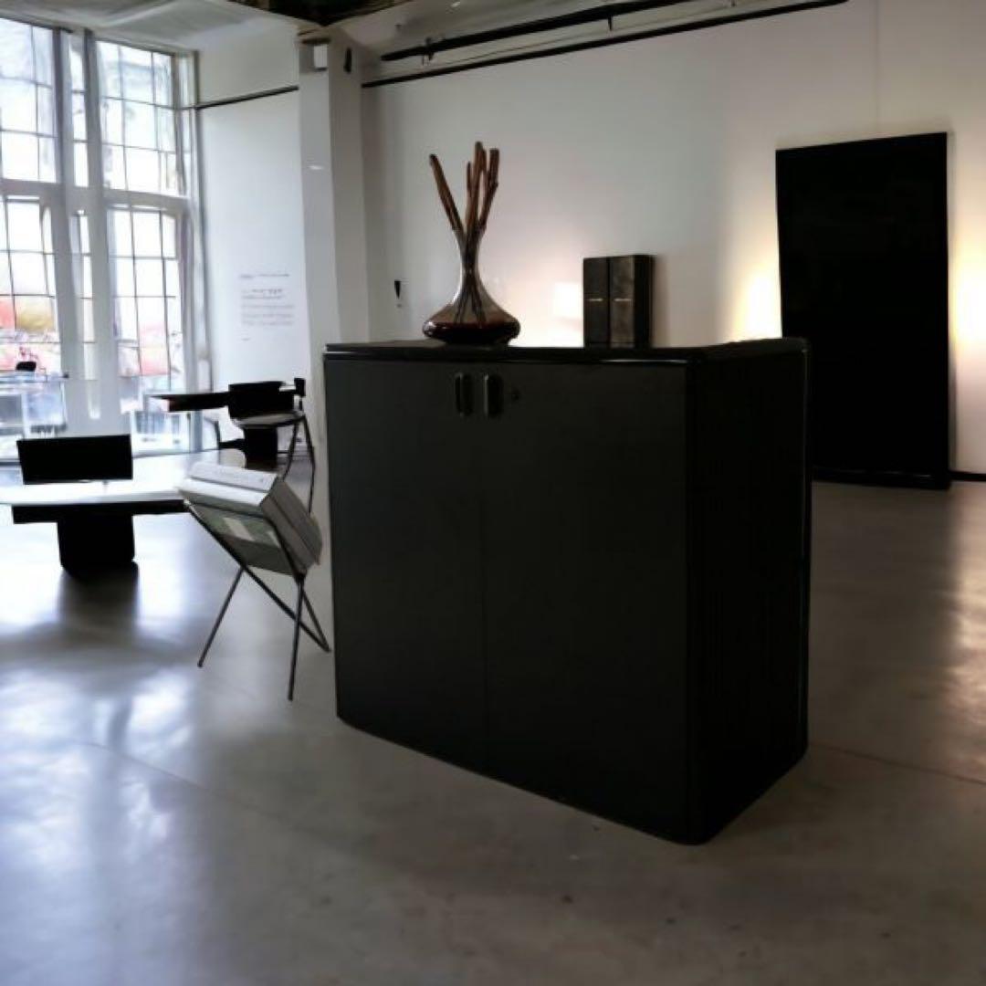 【送料込み】 Storage Cabinet By Mobilia モビリア