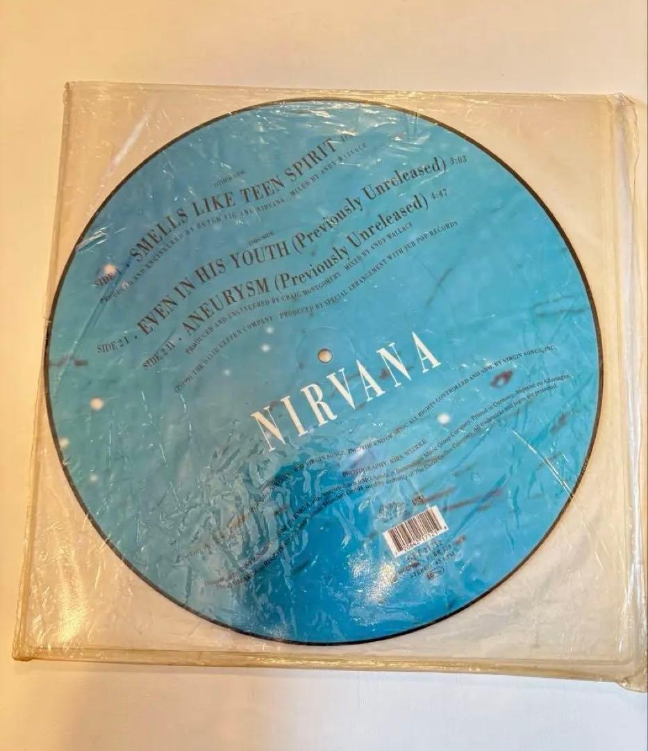NIRVANA SMELLS LIKE TEEN SPIRIT ピクチャー