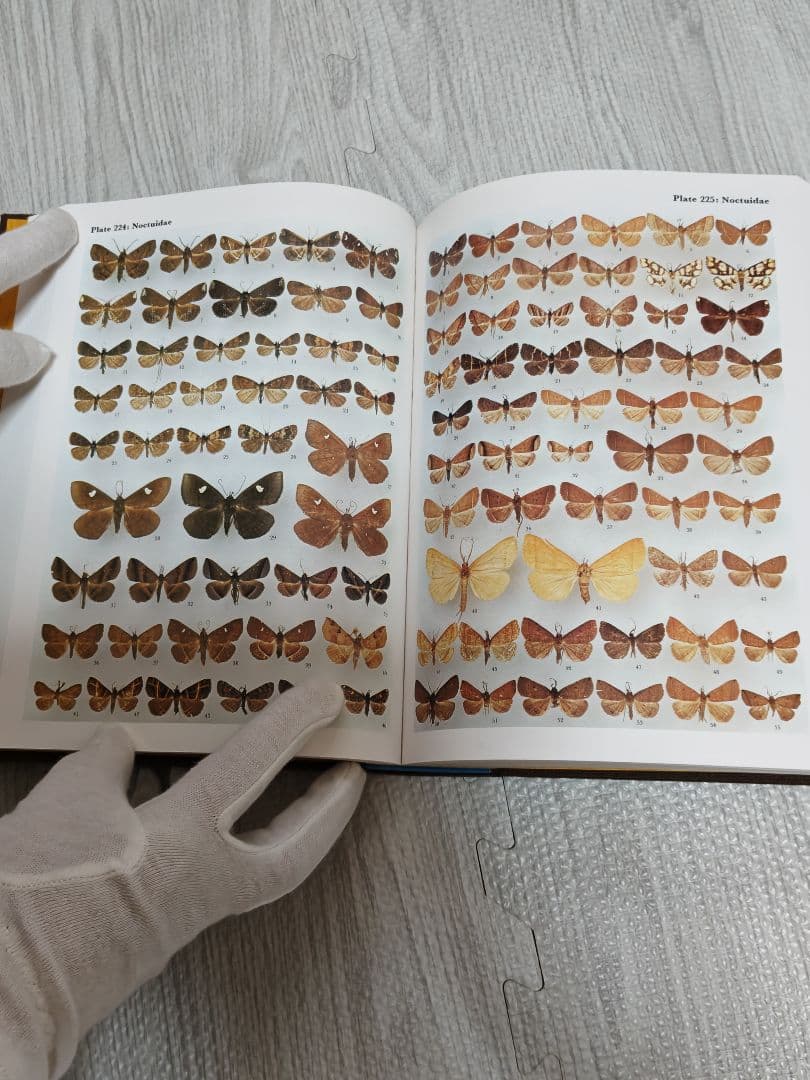 日本産蛾類大図鑑/全２巻　外函,輸送用函付属　講談社　第１刷　新品同様美品