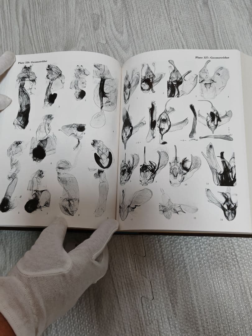 日本産蛾類大図鑑/全２巻　外函,輸送用函付属　講談社　第１刷　新品同様美品