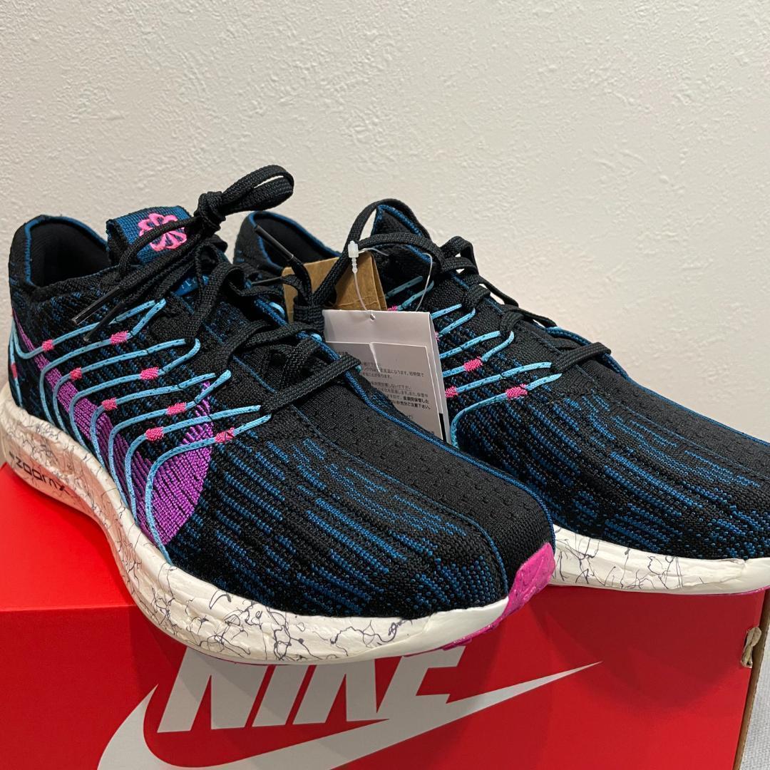 24.5cm ペガサス ターボ ネクスト ネイチャー SE FB7183-001