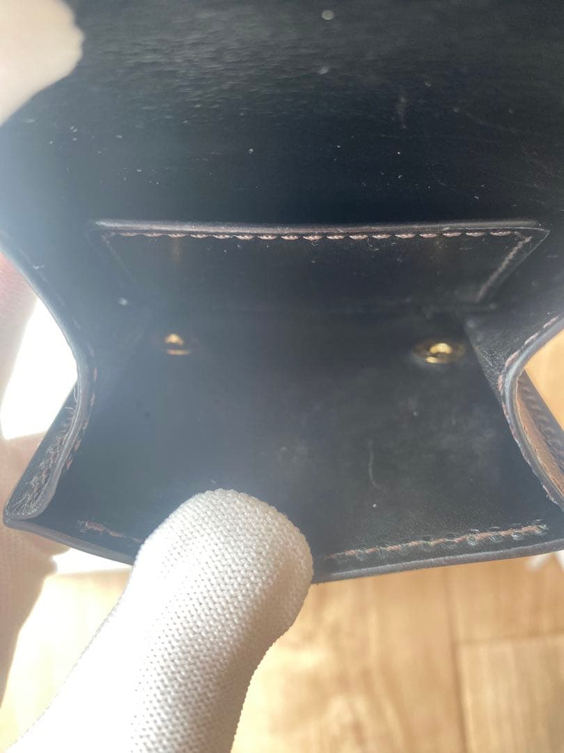 WILDSWANS （ワイルドスワンズ）　PALM V2（パームV2）　クロコ