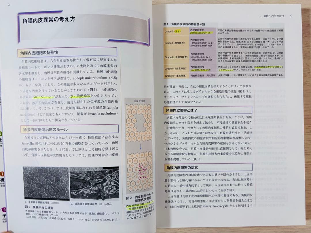 【一部書き込み有】眼科診療クオリファイ 角膜内皮障害 to the Rescue