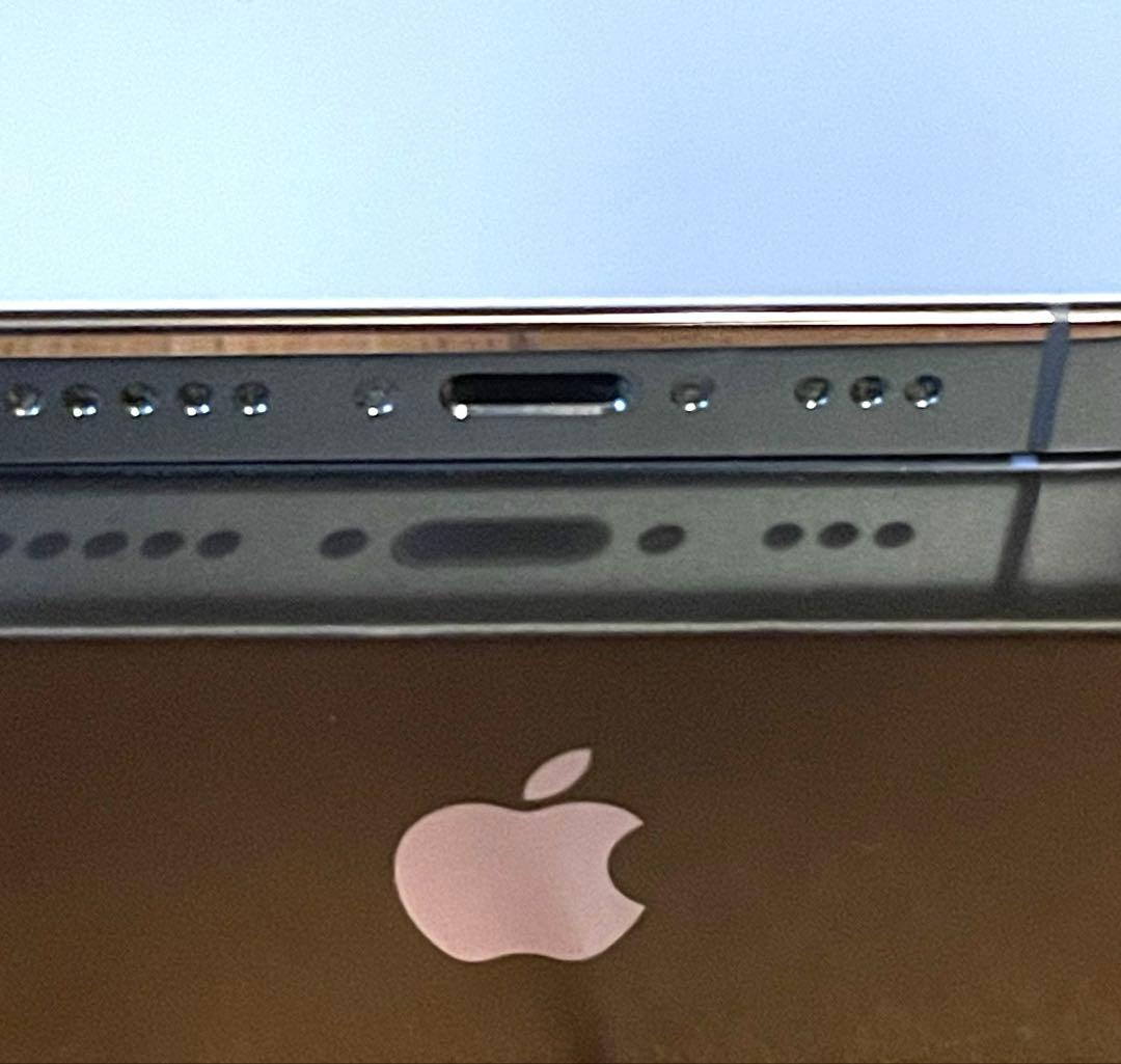 ザキーさん専用 美品iPhone13pro シエラブルー