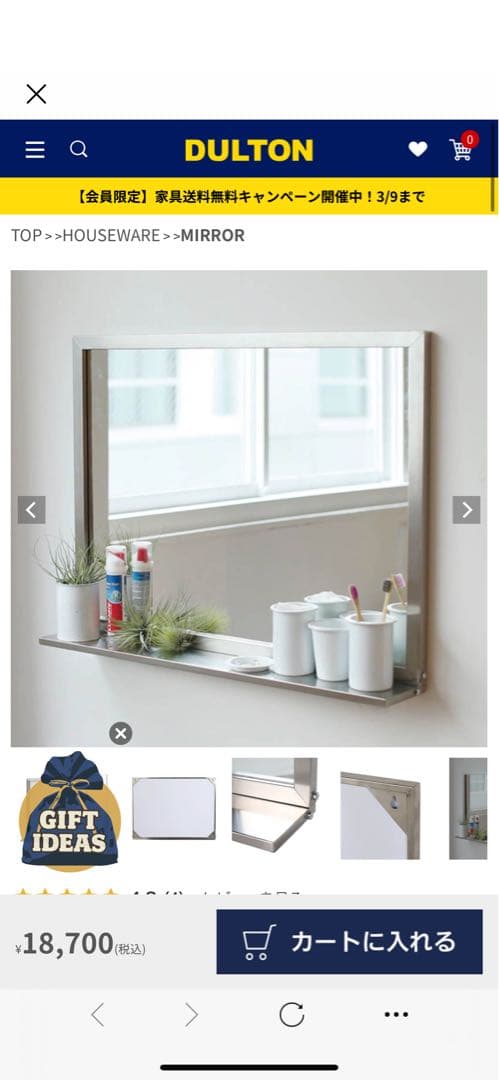 ダルトン　ステンレスミラーLサイズ