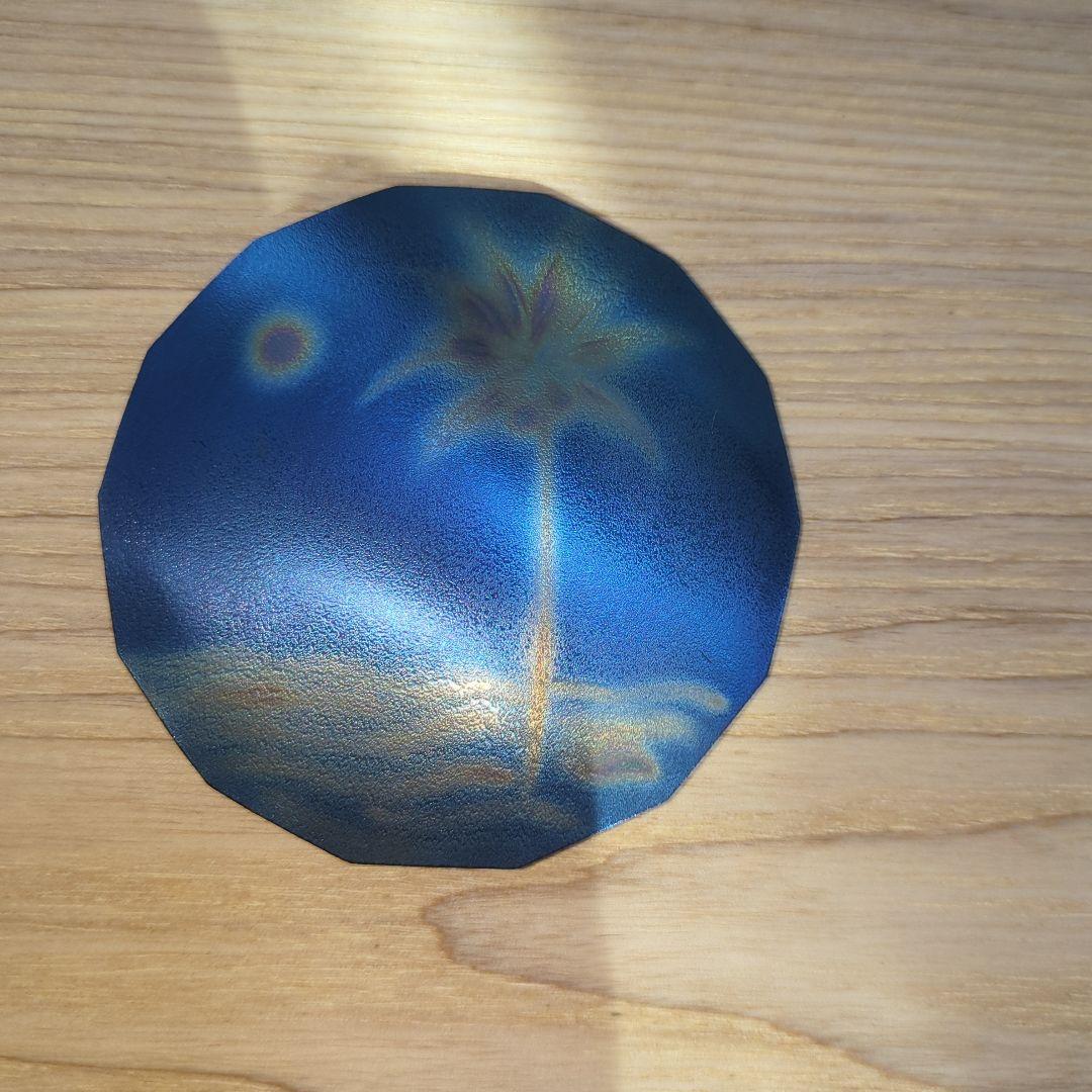 テスラ カートラベル・プレート