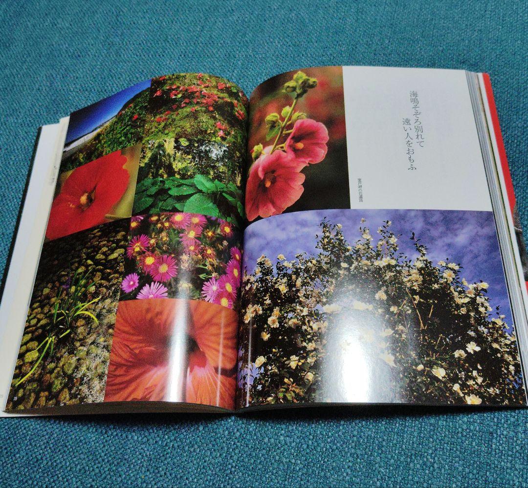 山頭火と四国遍路