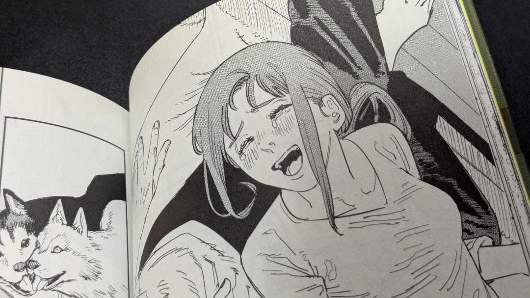 チェンソーマン全巻（1～22巻）セット（2026年1月新品購入品）