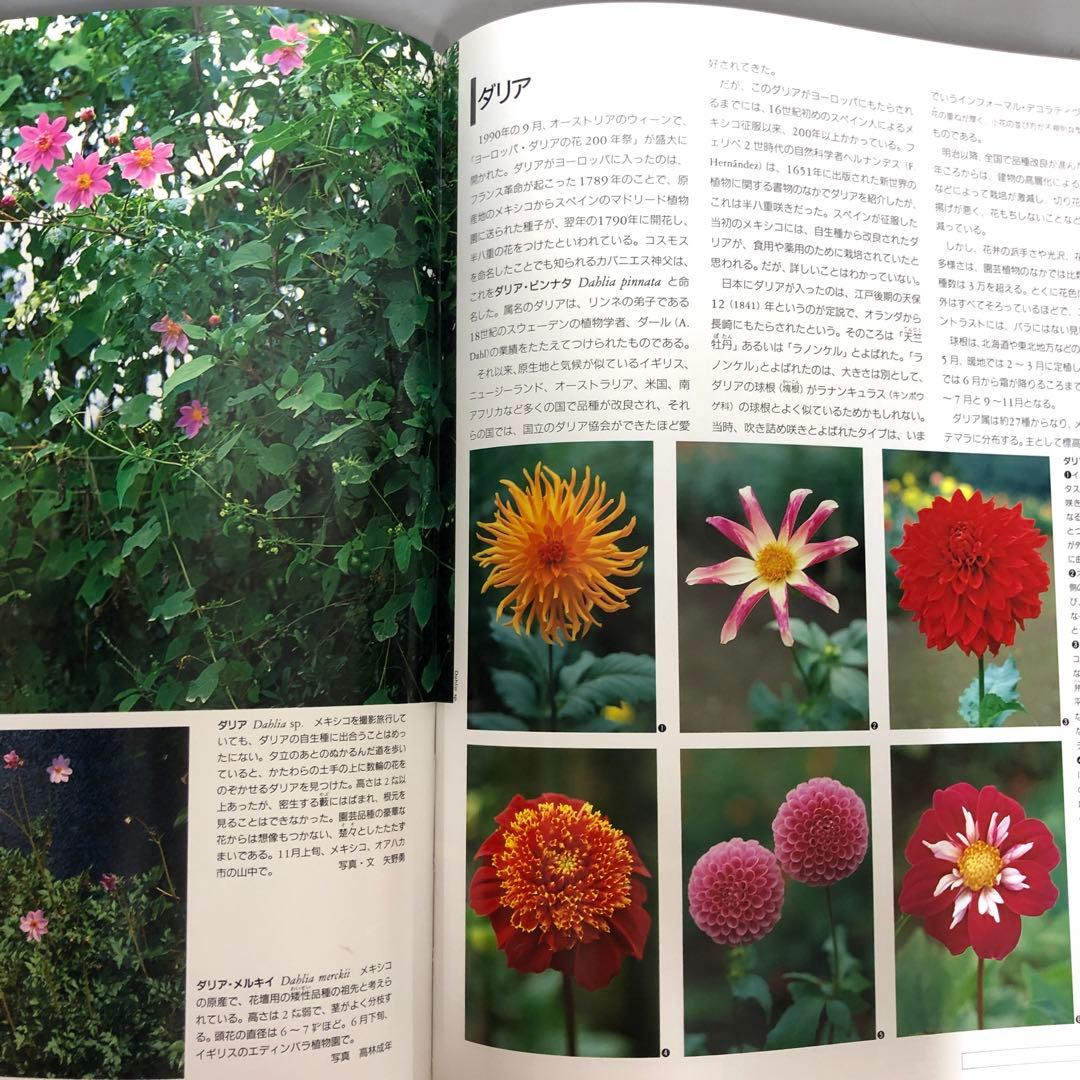 【中古本】植物の世界 全15巻セット